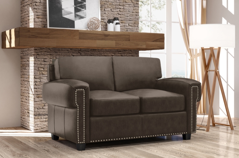 Fardin 63'' Leather Sleeper Loveseat