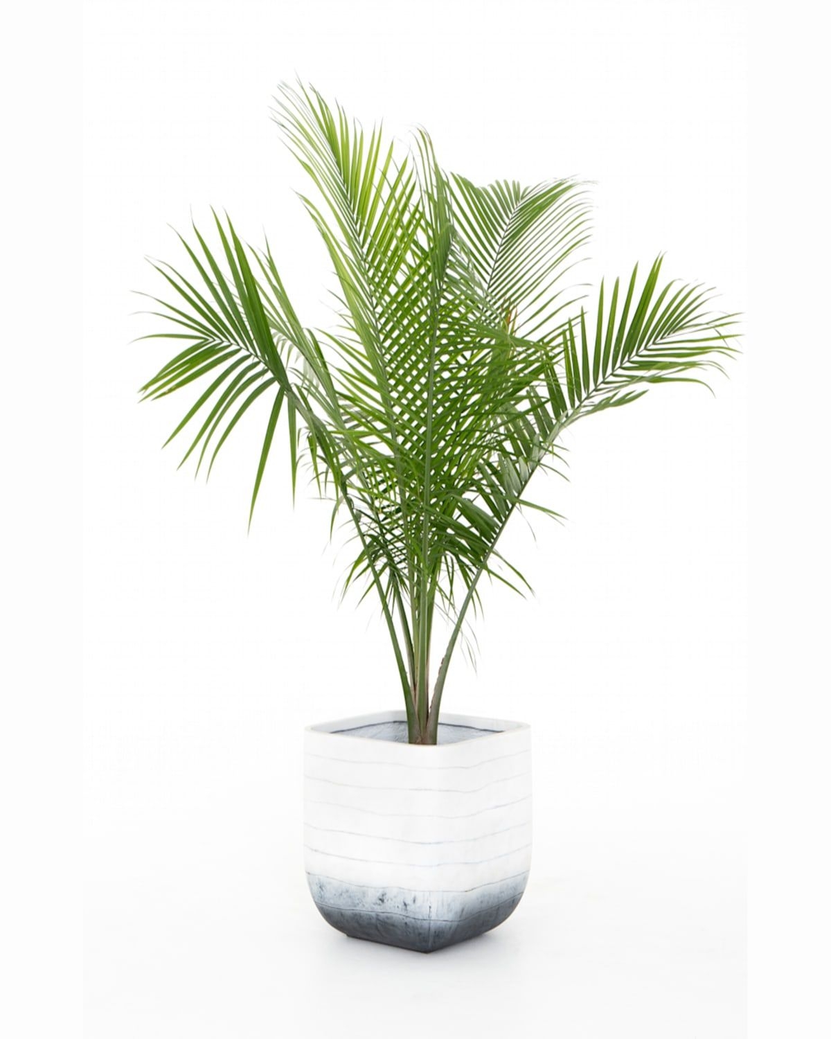 Four Hands - Ingall Square Planter