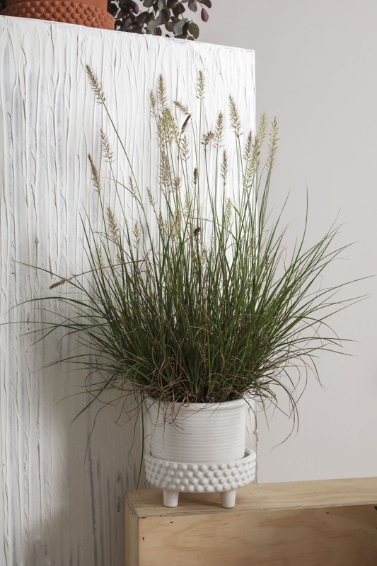 Hendrikka Handmade Ceramic Pot Planter