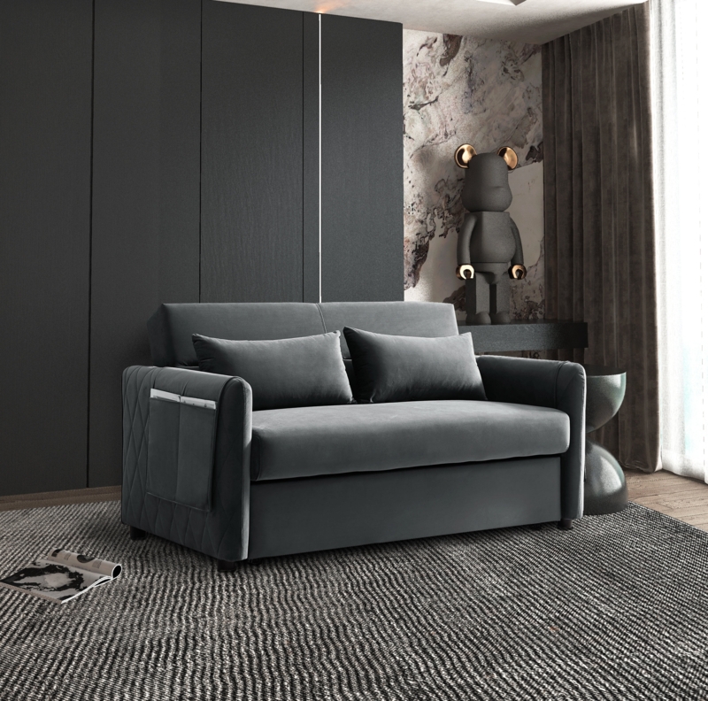 Irmfriede 55'' Velvet Sleeper Sofa