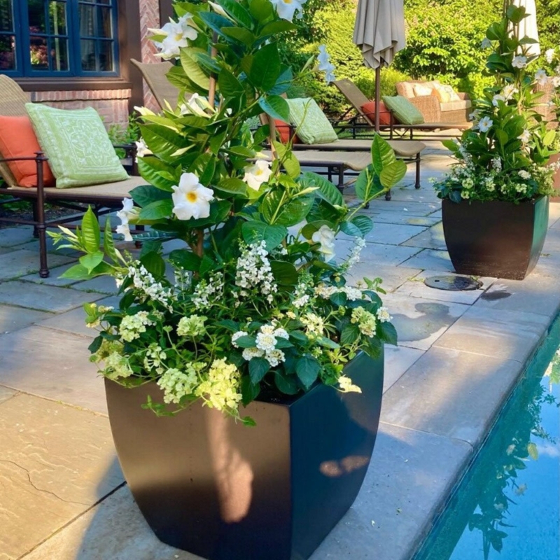 Jacklyn Handmade Planter Box