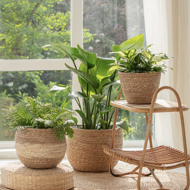 Matanna Pot Planter