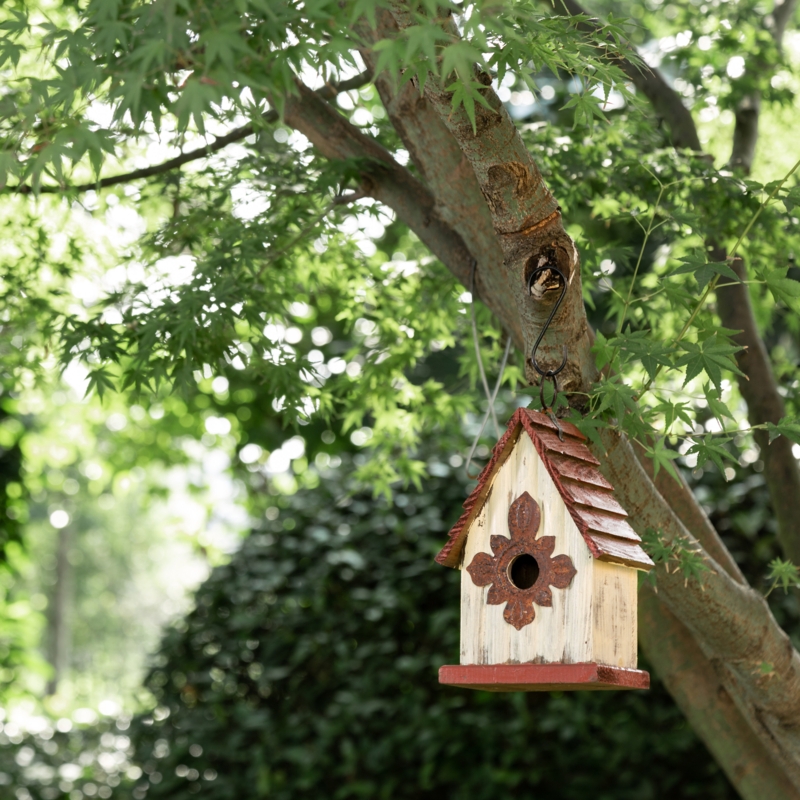 Mcgee 8.94'' H x 6.1'' W x 4.53'' D Freestanding Birdhouse