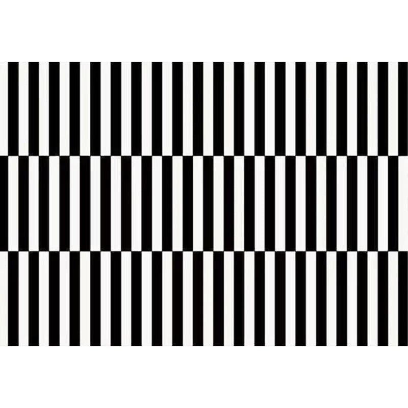 Modern Striped Pattern Carpet Polyester Area Rug Stain Resistant Indoor Rug for Home Decoration - 4'7 x 6'7 / White