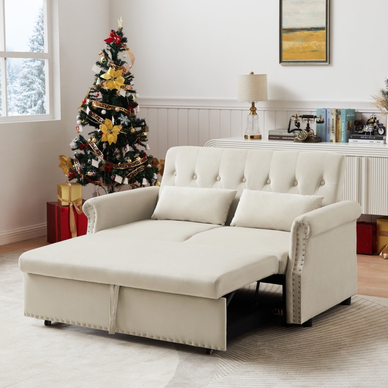 Redolf Modern Redolf 55.11'' Pull out Sleeper Bed Velvet Sofa