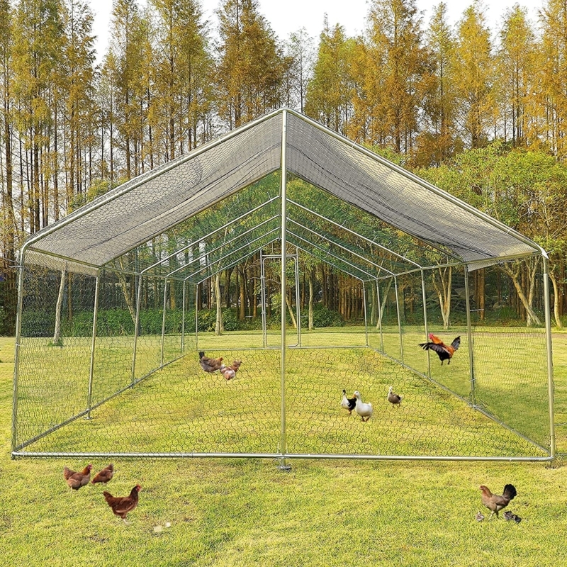 Ridinger 65 Square Feet Chicken Run