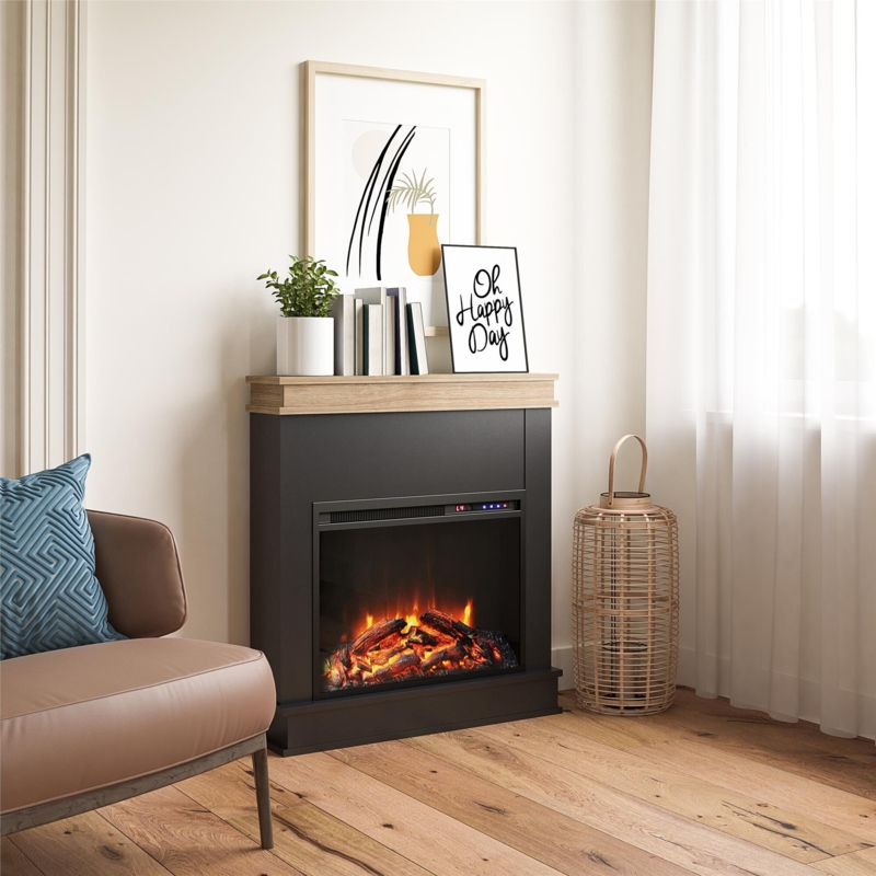 Tereza 29.7'' W Electric Fireplace