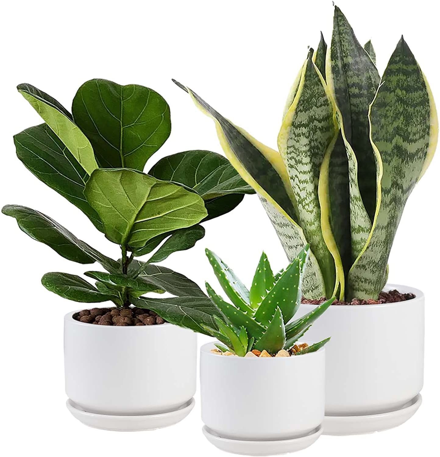 WHOMEPAA Ceramic Flower Pots for Planters with Drainage Holes and Saucers,4.3+5.3+6.7 Set of 3,Garden Plant Pots for Indoor Plants Succulent
