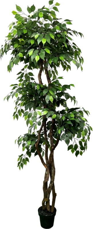 Hand-Made Primrue Giant 6.5'' Artificial Ficus Tree