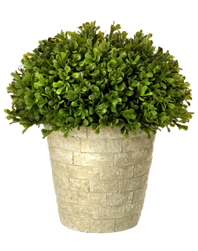 11'' Faux Boxwood Topiary in Cement Planter