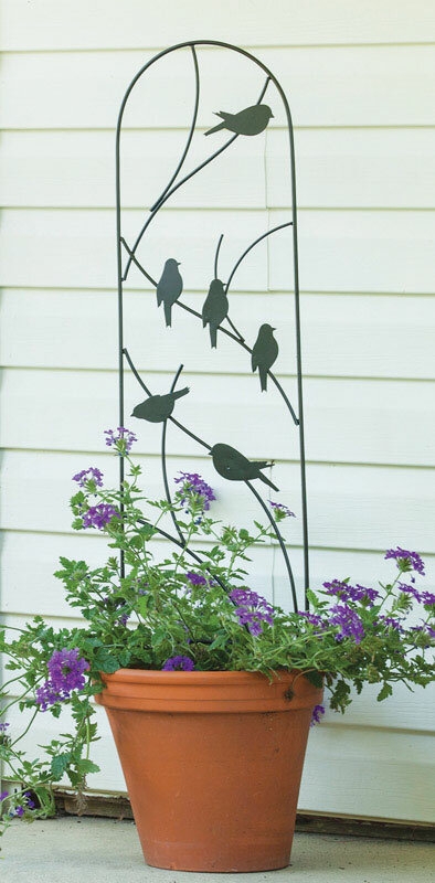 40'' H x 10'' W Steel Arched Trellis