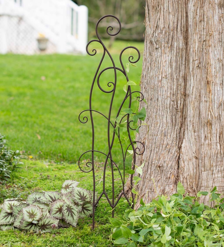 42.9'' H x 0.78'' W Metal Arched Trellis