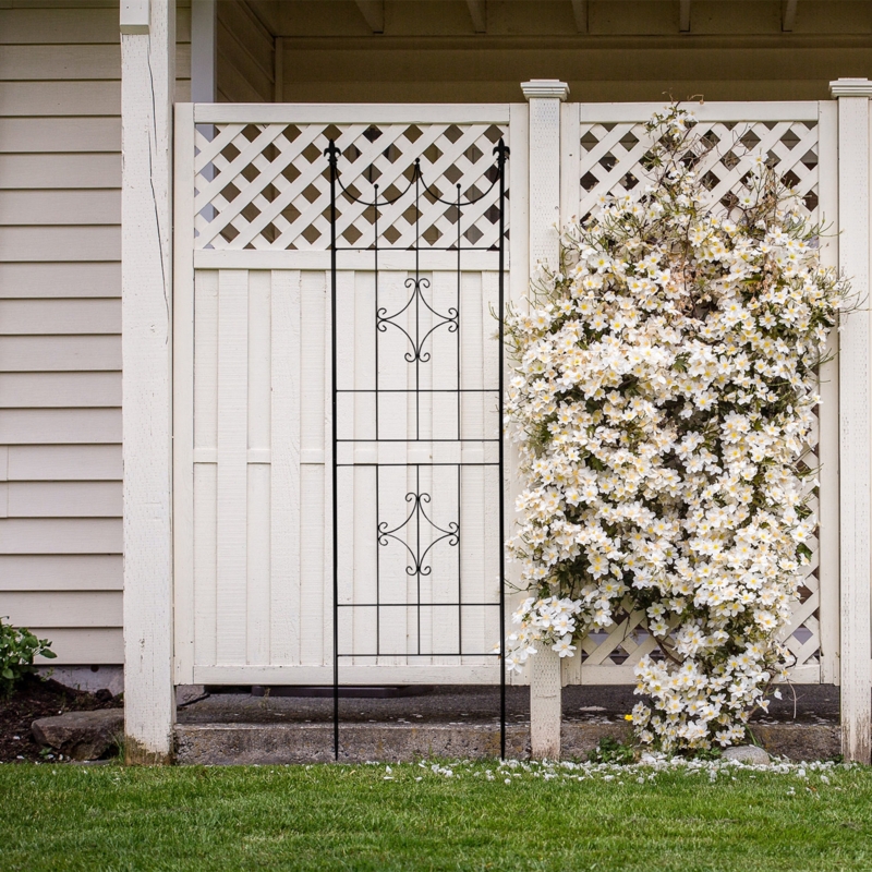 70'' H x 20'' W Iron Lattice Panel Trellis