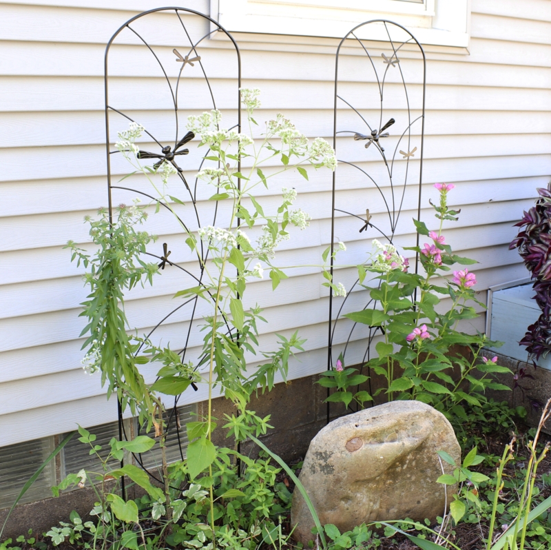 Abelius 55.75'' H x 12.5'' W Steel Gothic Trellis