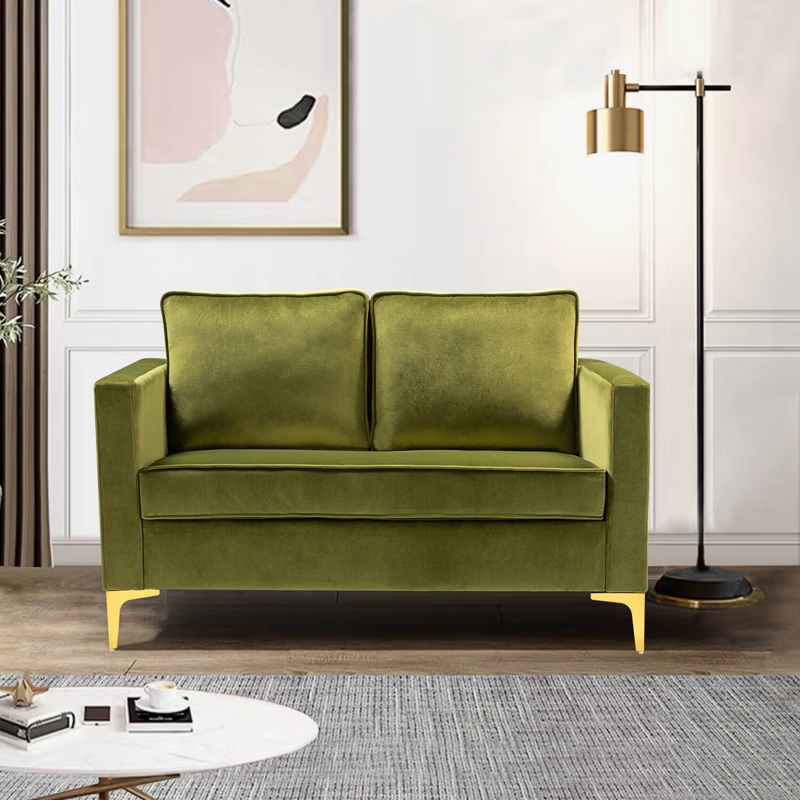 Adalynn 51'' Velvet Loveseat