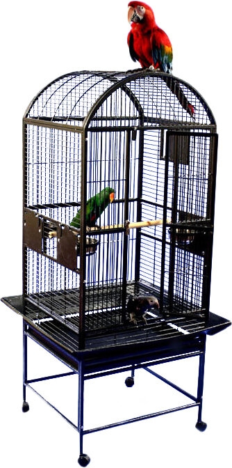 Beatrix 61'' Iron Dome Top Floor Bird Cage with Wheels