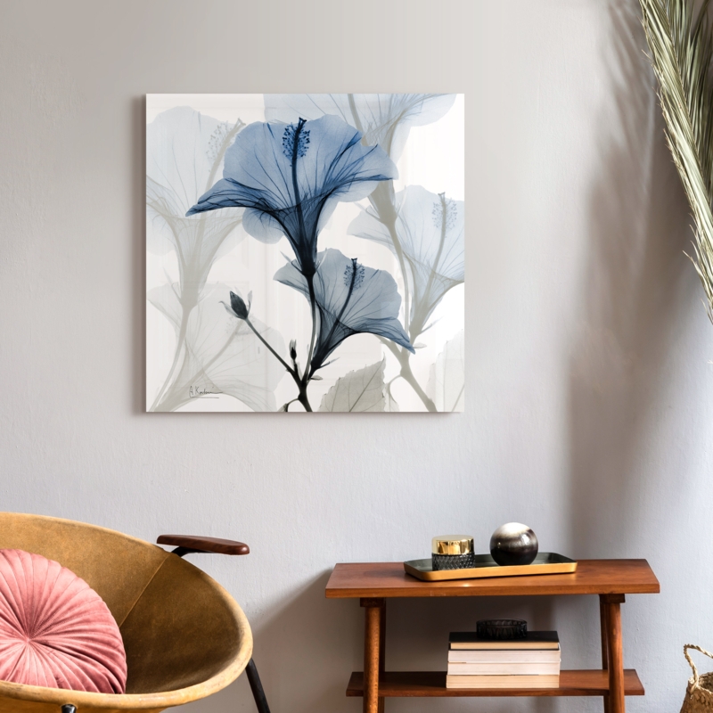 Blue Xray Floral On Glass by Albert Koetsier Print