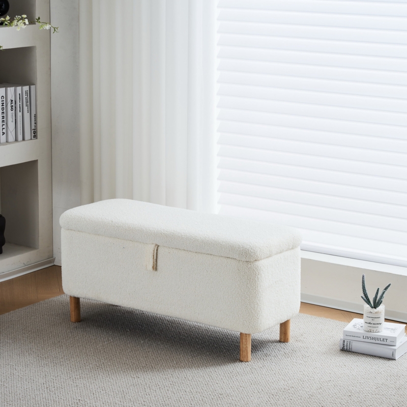 Dayvian 39.3" Storage Ottoman Bench for End of Bed