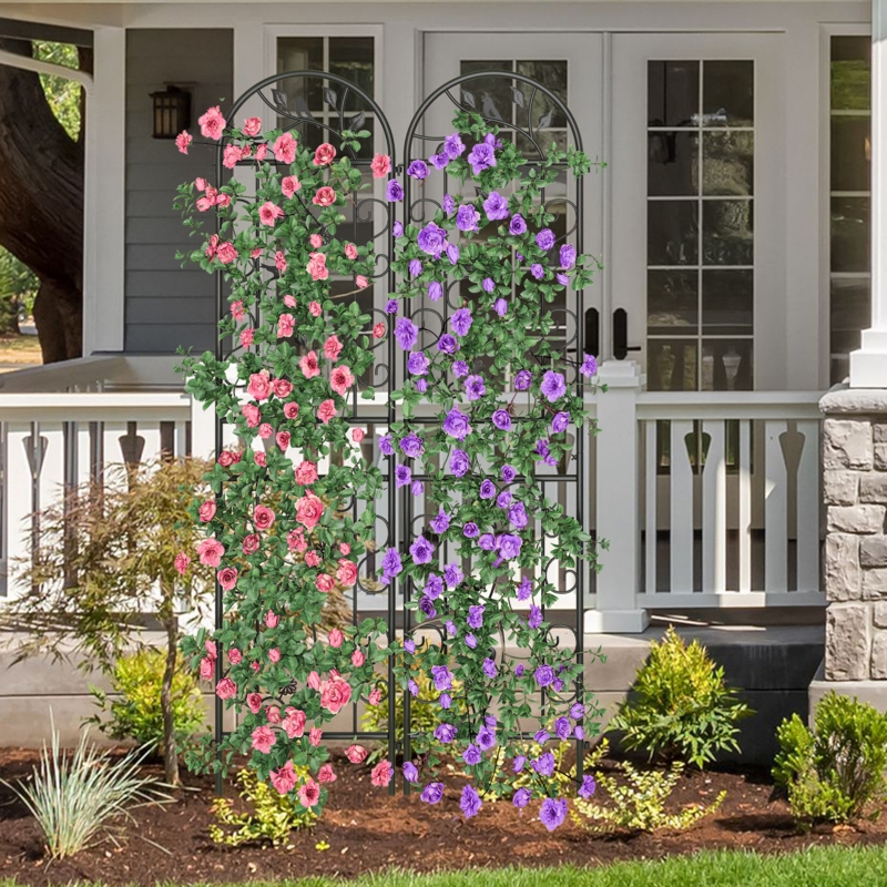 Desinae 87'' H x 20'' W Metal Arched Trellis