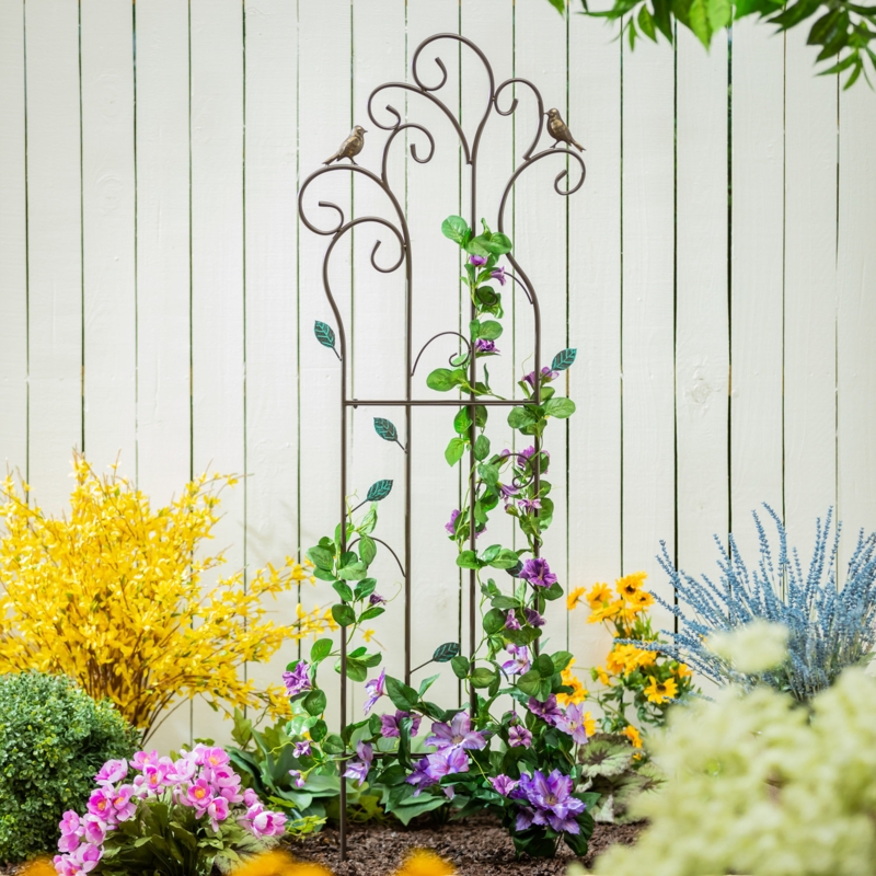 Duquesne 60 H x 20 W Metal Birds and Scrolls Garden Trellis