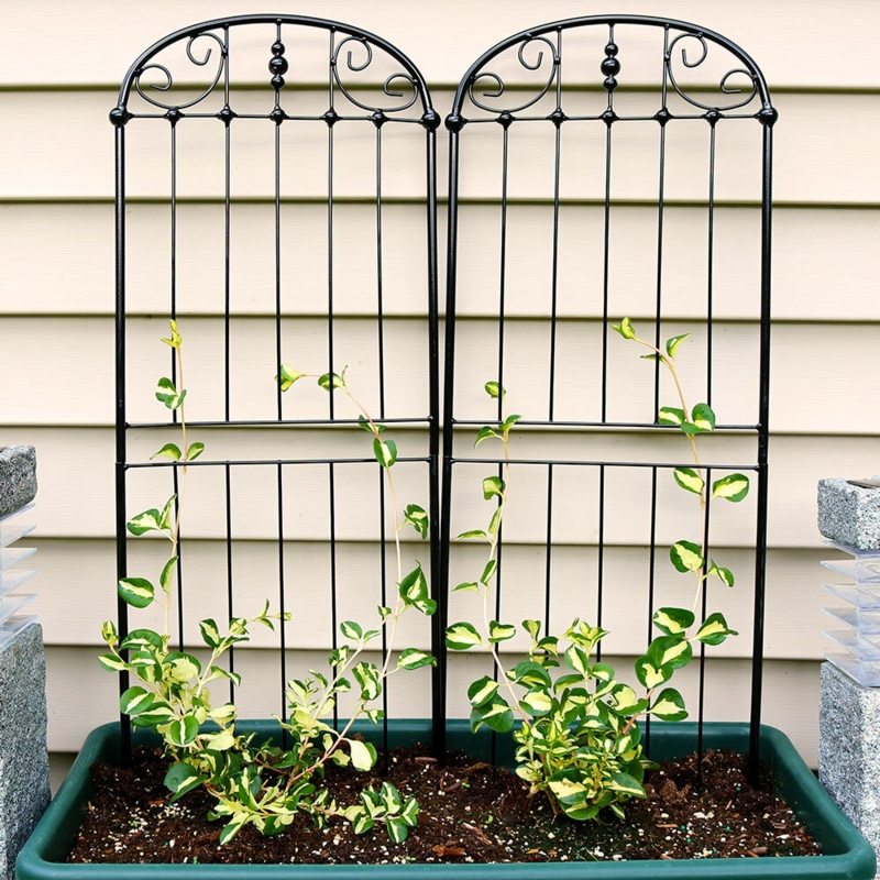 Fast Break 32'' H x 10.6'' W Steel Gothic Trellis