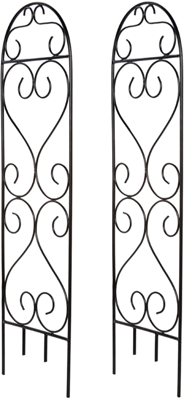 Favreau 27'' H x 7.5'' W Iron Arched Trellis