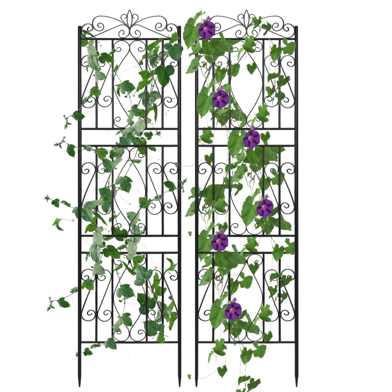 Jany 71.6'' H x 19.7'' W Iron Gothic Trellis