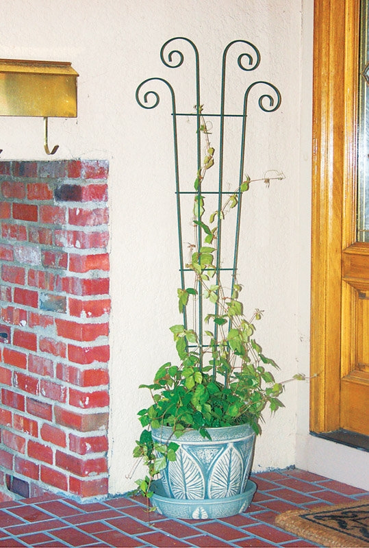 Kerveen 48'' H x 16'' W Steel Fan Trellis