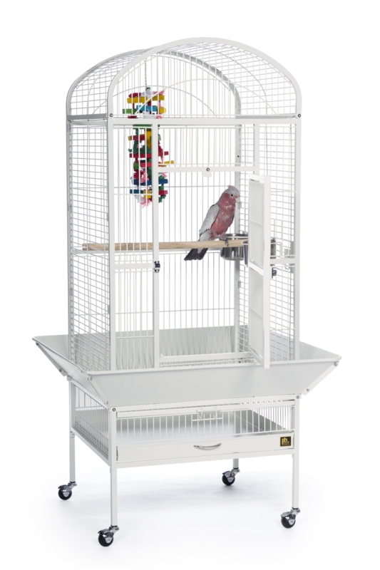 Lucian 59.5'' Steel Dome Top Floor Bird Cage with Wheels