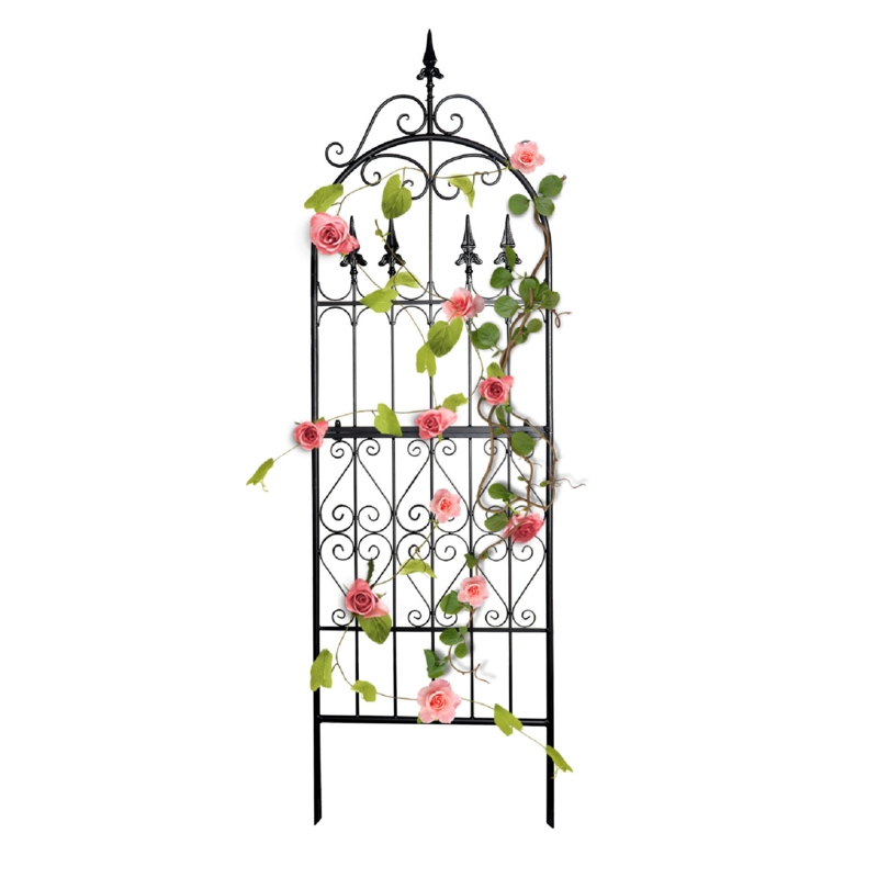 Monroeville 70'' H x 21.7'' W Iron Garden Trellis for Climbing Plants Rose Support Structure