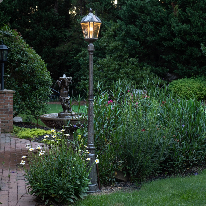 Rasberry Lamp Post (Full)