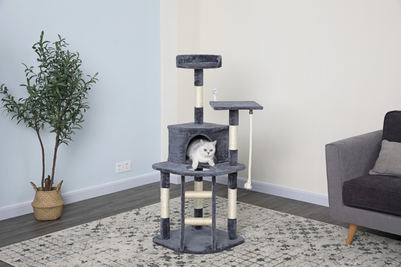 Raul 49'' H Cat Tree
