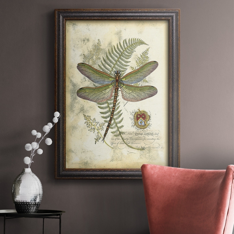 Regal Dragonfly I (PP) Framed On Canvas Painting
