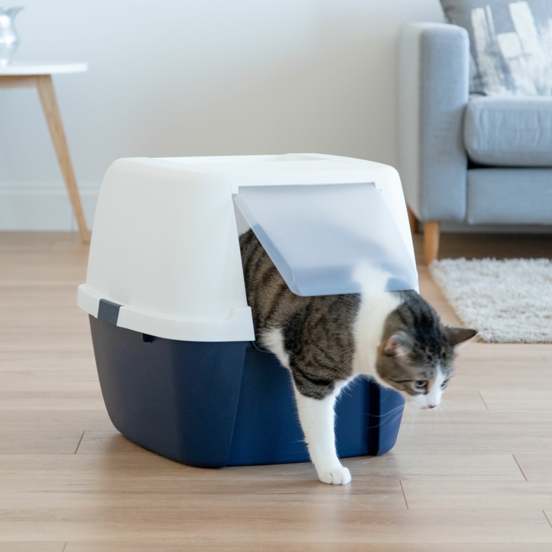 Shattuck Standard Litter Box