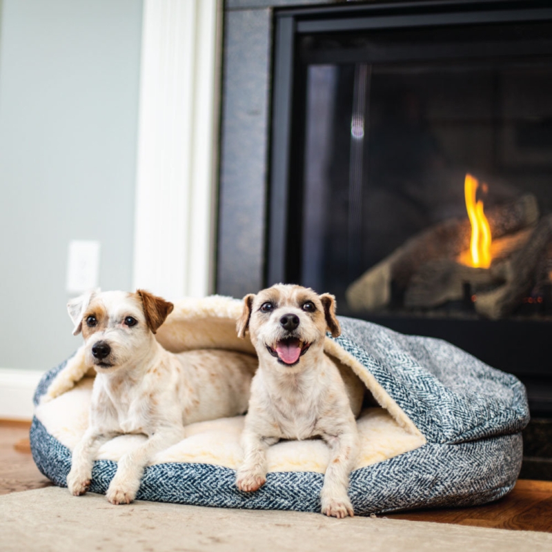 Show Dog Geometric Orthopedic Microsuede Pet Bed