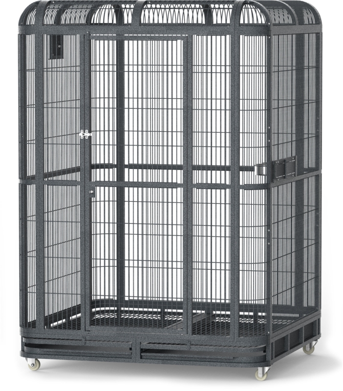 Walk-In Aviary Base for 62x62 Aviary