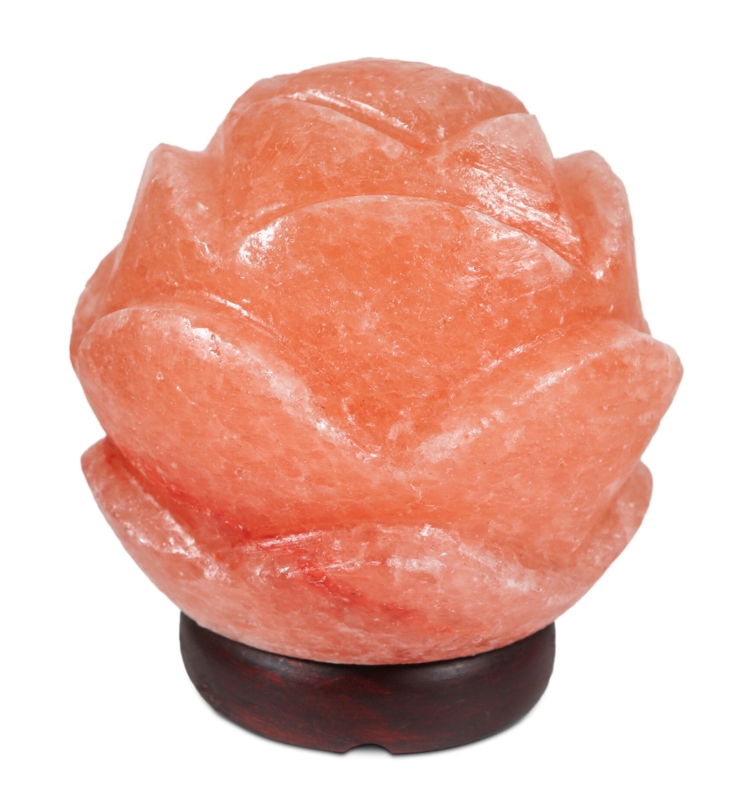 7 Lb. Plants & Flowers Themed Salt Lamp