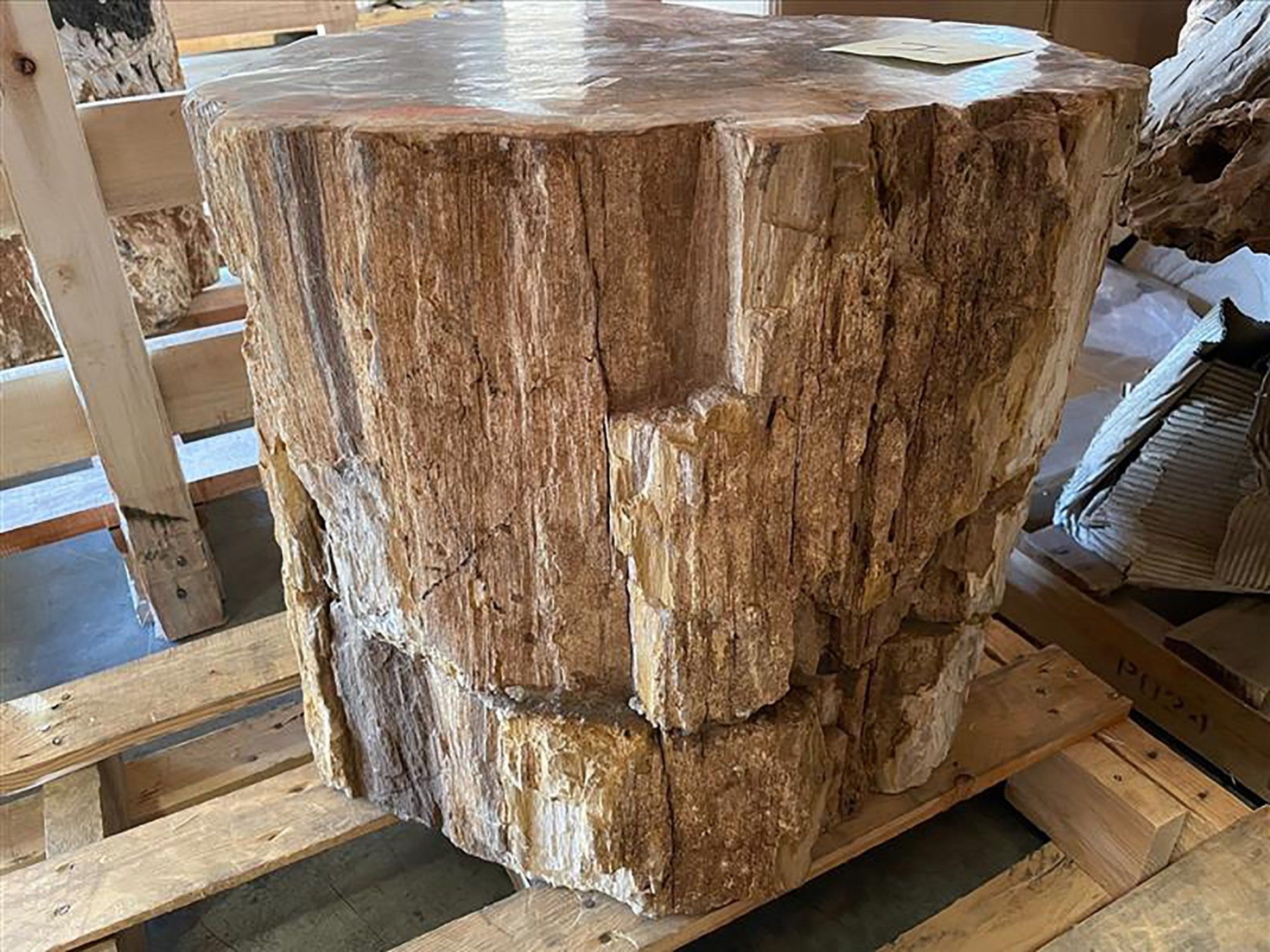 "Awesome Petrified Wood Stool Stump Accent Side Table Pedestal Rare Amazing Color \"H\""