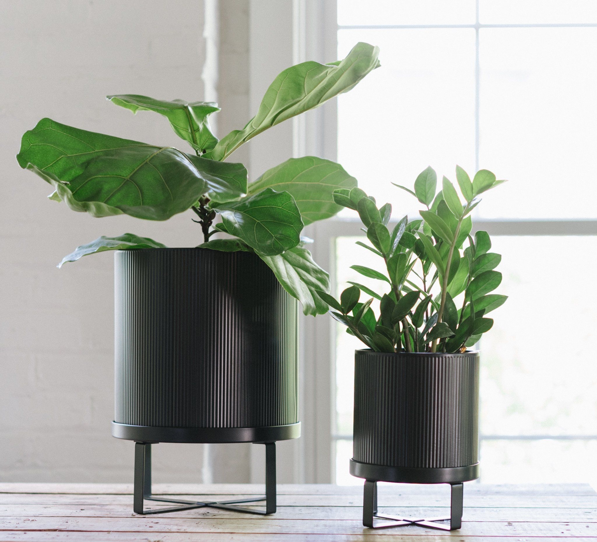 Bau Pot - Large / Black