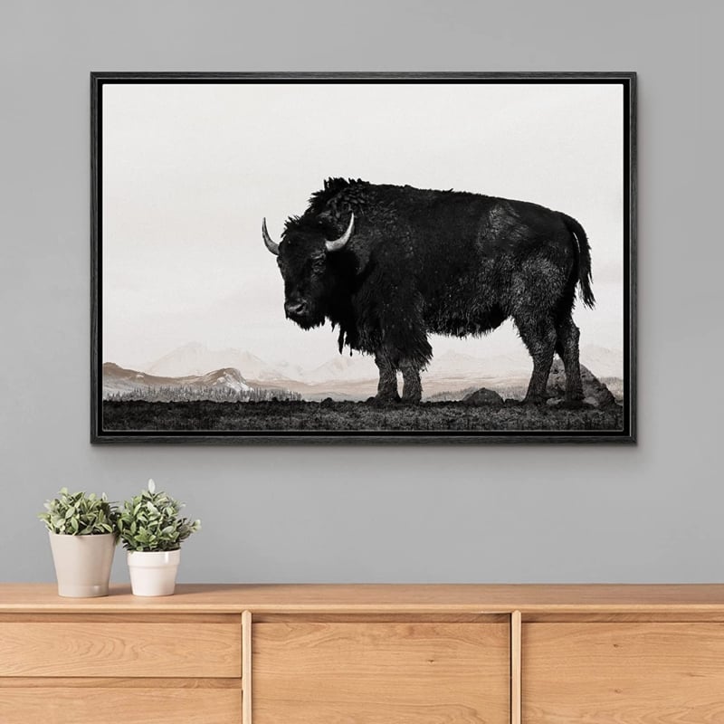 Black White Buffalo Bison In the Mountain Landscape Farmhouse Country Wall Art Framed Canvas Print