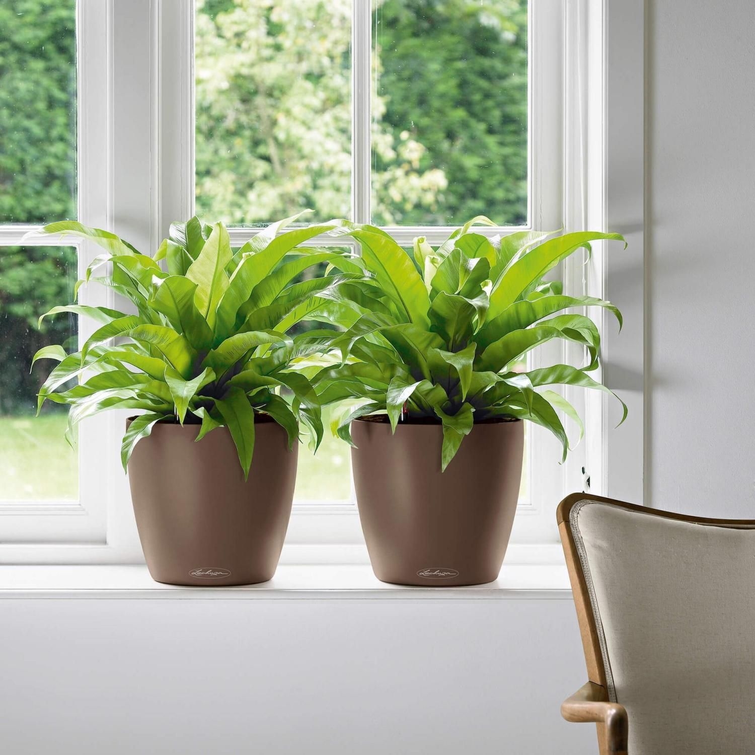 Classico Round Self-watering Planter - Sand Brown / 17l