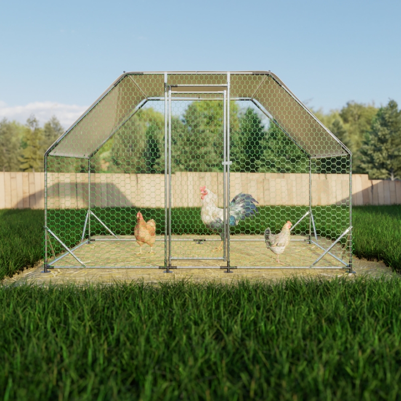 5 Best Mobile Chicken Coops