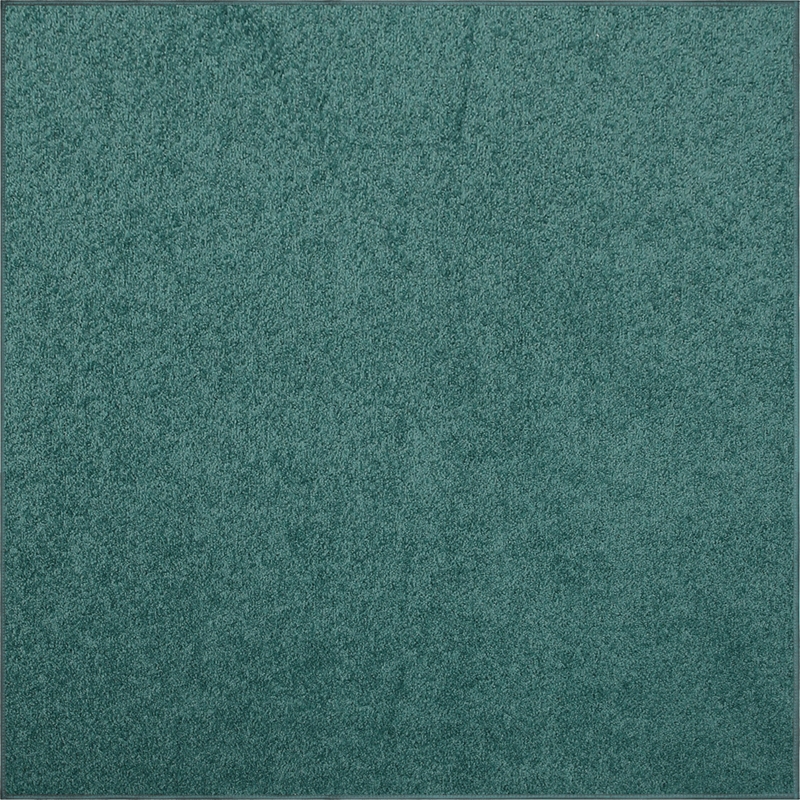 Ebern Designs Solid Color Area Rug Teal