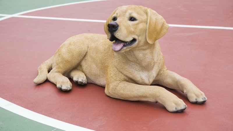 Labrador Retriever Lying Down Statue
