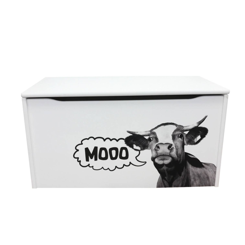 Little Colorado Toy Box