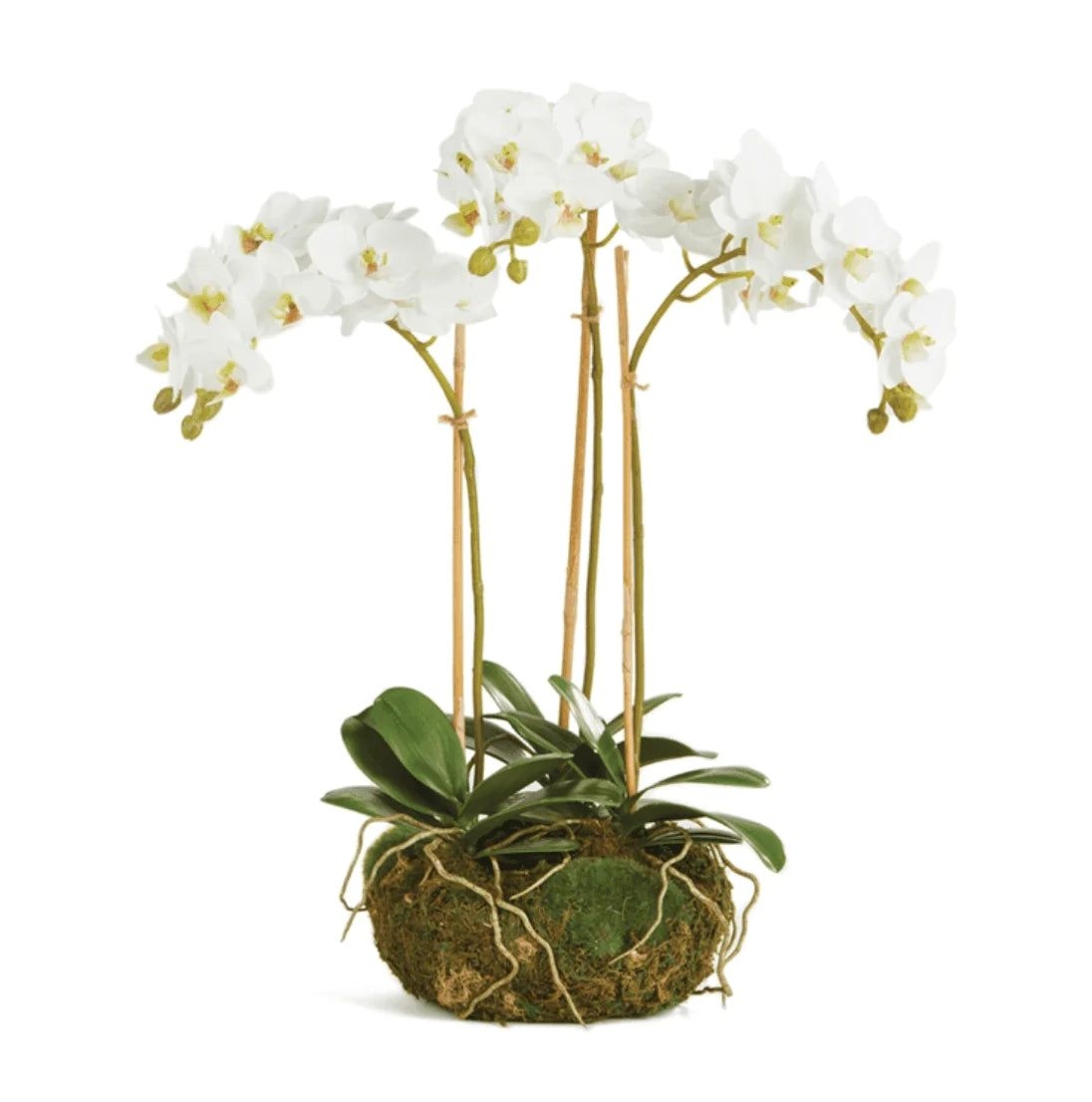 Mini Faux White Phalaenopsis Orchid Drop-in Arrangement