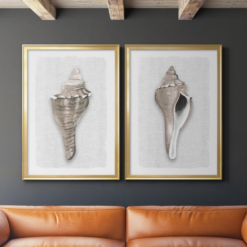 Sea Front Shell I Framed On Canvas 2 Pieces Painting