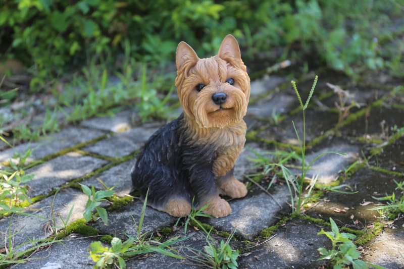 Sitting Yorkshire Terrier Dog Statue