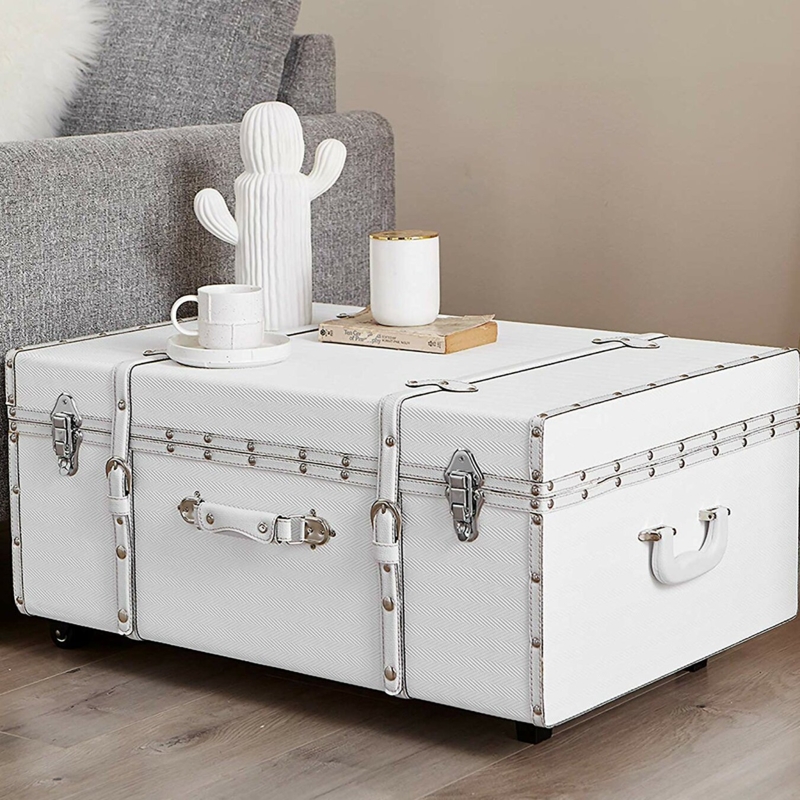 The Designer Wheeled Trunk