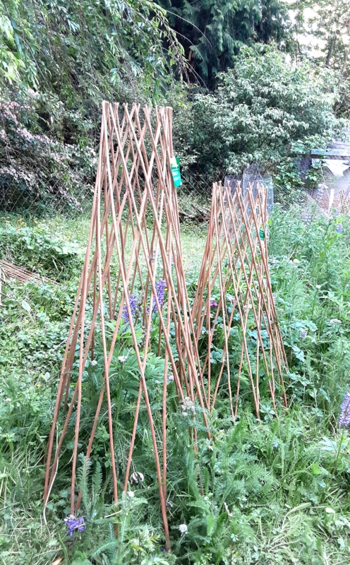 Wood Expanding Trellis